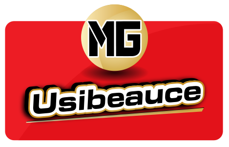 ancien logo usibeauce